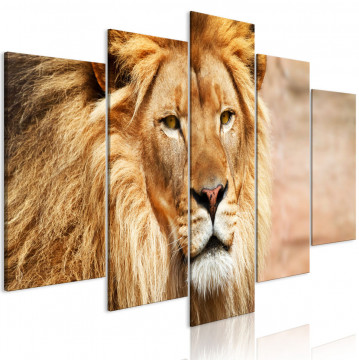 Tablou - The King of Beasts (5 Parts) Wide Orange - Img 1