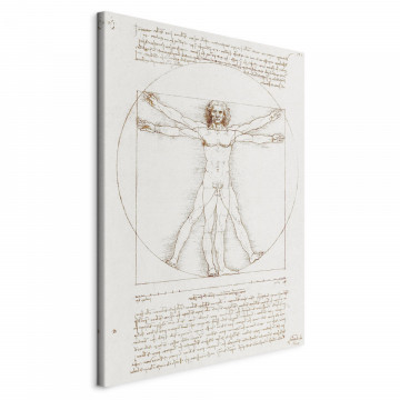 Tablou - Vitruvian Man (Proportions of the human body according to Vitruvius) - Img 1