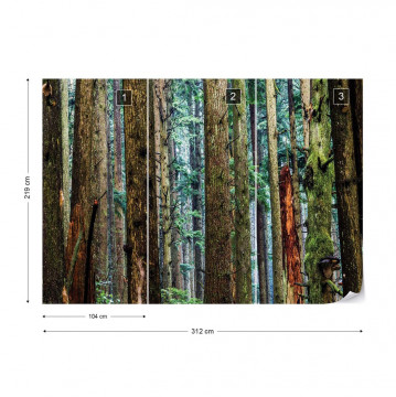 Tree Textures In The Forest Photo Wallpaper Wall Mural - Img 4