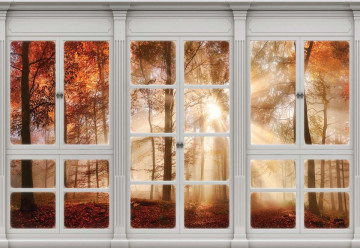3D Door View Autumn Forest Photo Wallpaper Wall Mural - Img 3