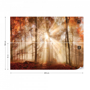 Autumn Trees Forest Sunshine Photo Wallpaper Wall Mural - Img 8