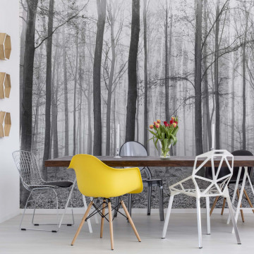 Black And White Misty Forest Photo Wallpaper Wall Mural - Img 18