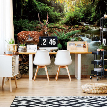 Deer In Forest Photo Wallpaper Wall Mural - Img 18
