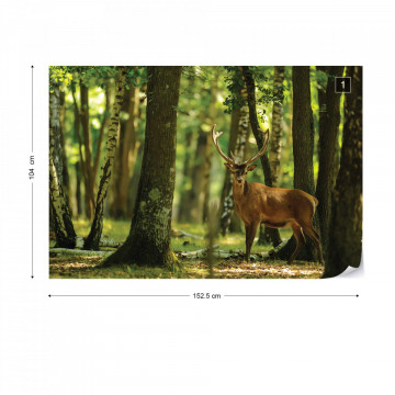 Deer In The Forest Nature Photo Wallpaper Wall Mural - Img 10