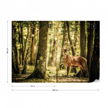 Deer In The Forest Nature Photo Wallpaper Wall Mural - Img 12