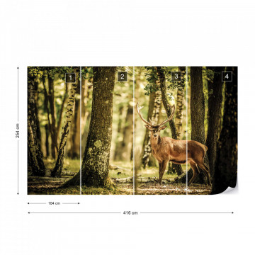 Deer In The Forest Nature Photo Wallpaper Wall Mural - Img 14