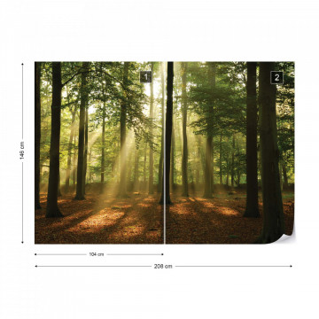 Enchanted Forest Photo Wallpaper Wall Mural - Img 12