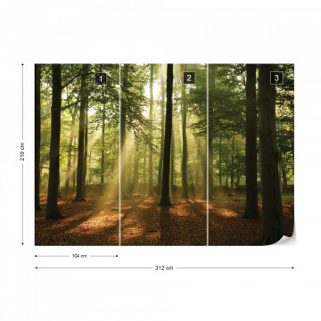 Enchanted Forest Photo Wallpaper Wall Mural - Img 13