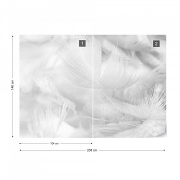 Feathers in Black & White - Img 14