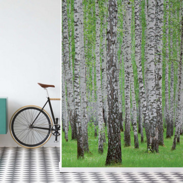Forest Birch Trees Woods Photo Wallpaper Wall Mural - Img 18