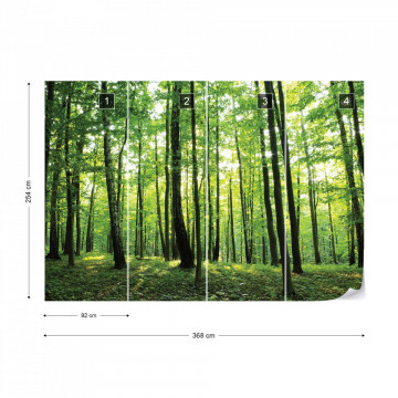 Forest Trees Green Nature Photo Wallpaper Wall Mural - Img 9
