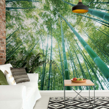 Forest Woods Photo Wallpaper Wall Mural - Img 2