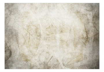 Fototapet - Beige murmurs - Img 2