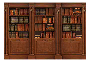 Fototapet - Elegant Library - Img 2