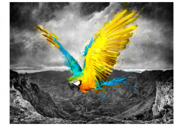 Fototapet - Exotic parrot - Img 2
