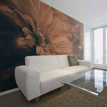 Fototapet - Gerbera in bronze - Img 1
