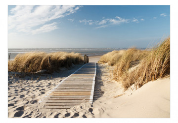 Fototapet - Lonely Beach - Img 2