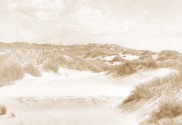Fototapet - Paradis în Deșert – Aspect Vintage Sepia - Img 7