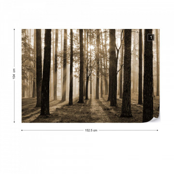 Fototapet - Răsărit de Soare în Pădure – Sepia - Img 13