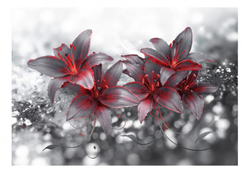 Fototapet - Shadow of Passion - Img 2