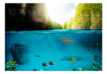 Fototapet - Under the waterline - Img 4