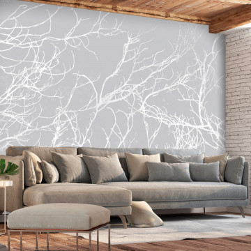Fototapet - White Trees - Img 1
