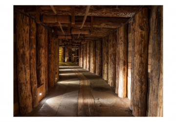 Fototapet - Wooden passage - Img 2