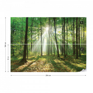 Green Forest Photo Wallpaper Wall Mural - Img 5