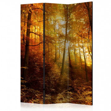Paravan - Autumn Illumination [Room Dividers] - Img 1