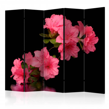Paravan - Azalea in Black II [Room Dividers] - Img 1
