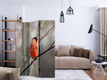 Paravan - Bullfinch in the forest [Room Dividers] - Img 2