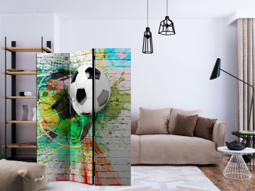 Paravan - Colourful Sport [Room Dividers] - Img 2