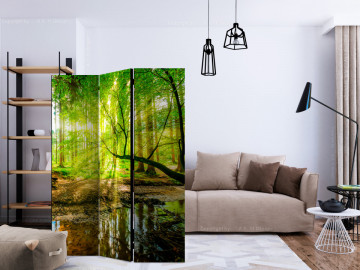 Paravan - Forest Stream [Room Dividers] - Img 2
