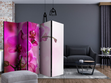 Paravan - Pink orchid II [Room Dividers] - Img 2
