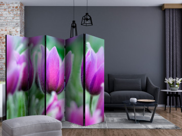 Paravan - Purple spring tulips II [Room Dividers] - Img 2