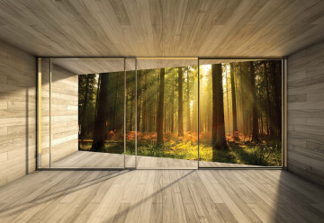 Sunrise Forest 3D Modern Window View Photo Wallpaper Wall Mural - Img 3