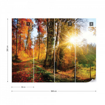 Sunrise In Autumn Forest Photo Wallpaper Wall Mural - Img 9