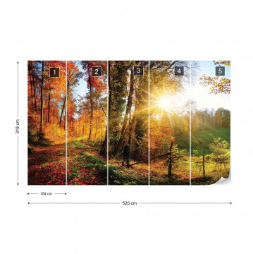 Sunrise In Autumn Forest Photo Wallpaper Wall Mural - Img 4