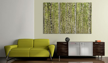 Tablou - A forest of birch trees - Img 4