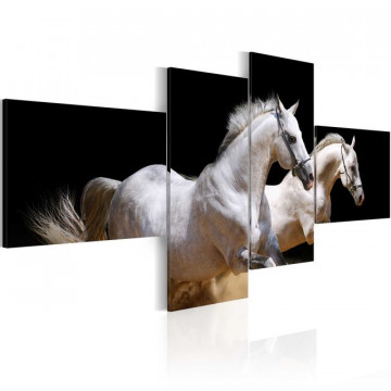 Tablou - Animal world- white horses galloping - Img 1