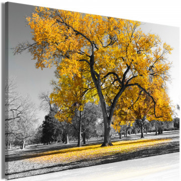 Tablou - Autumn in the Park (1 Part) Wide Gold - Img 1