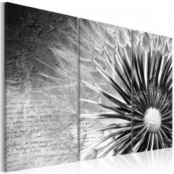 Tablou - dandelion (black and white) - Img 1