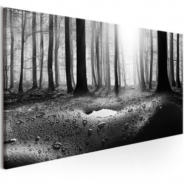 Tablou - Forest after Rain (1 Part) Narrow - Img 1