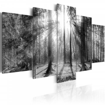 Tablou - Forest of Memories - Img 1