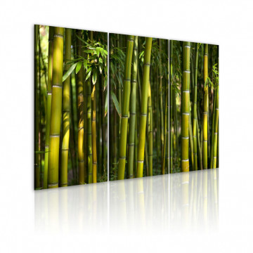 Tablou - Green bamboo - Img 1