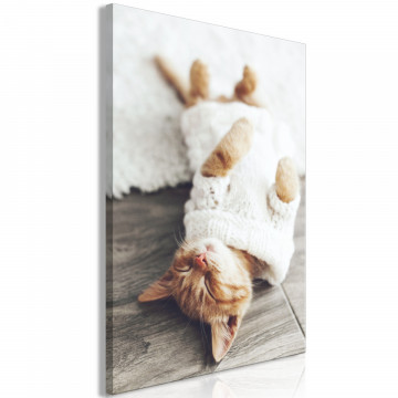 Tablou - Lazy Cat (1 Part) Vertical - Img 1