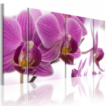 Tablou - Marvelous orchid - Img 1
