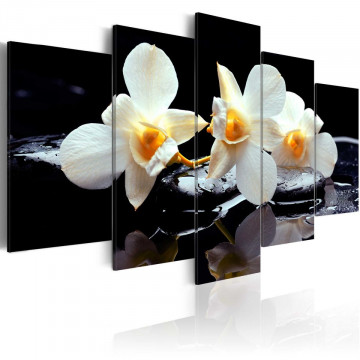 Tablou - Orchids with orange accent - Img 1
