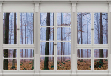 3D Door View Misty Forest Photo Wallpaper Wall Mural - Img 6