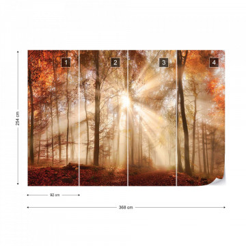 Autumn Trees Forest Sunshine Photo Wallpaper Wall Mural - Img 9